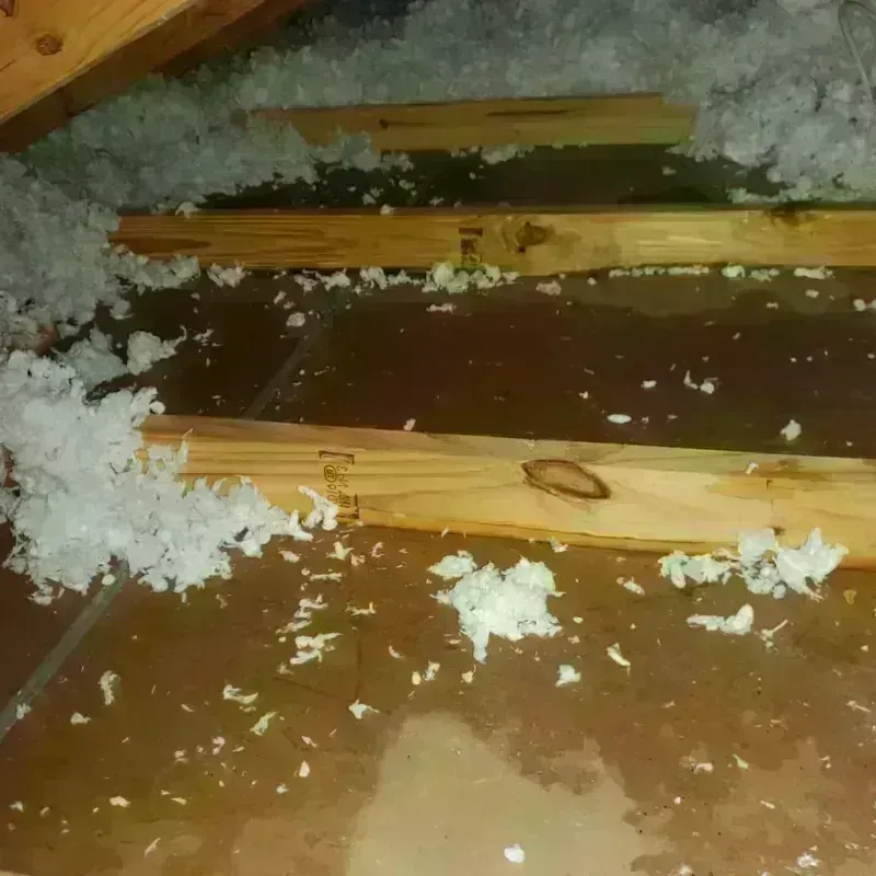 Attic Water Damage in Morgan, GA