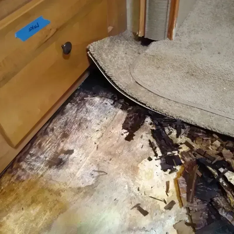 Best Wood Floor Water Damage Service in Morgan, GA